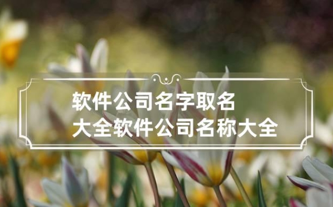 徐州软件公司名叫什么好听易记
